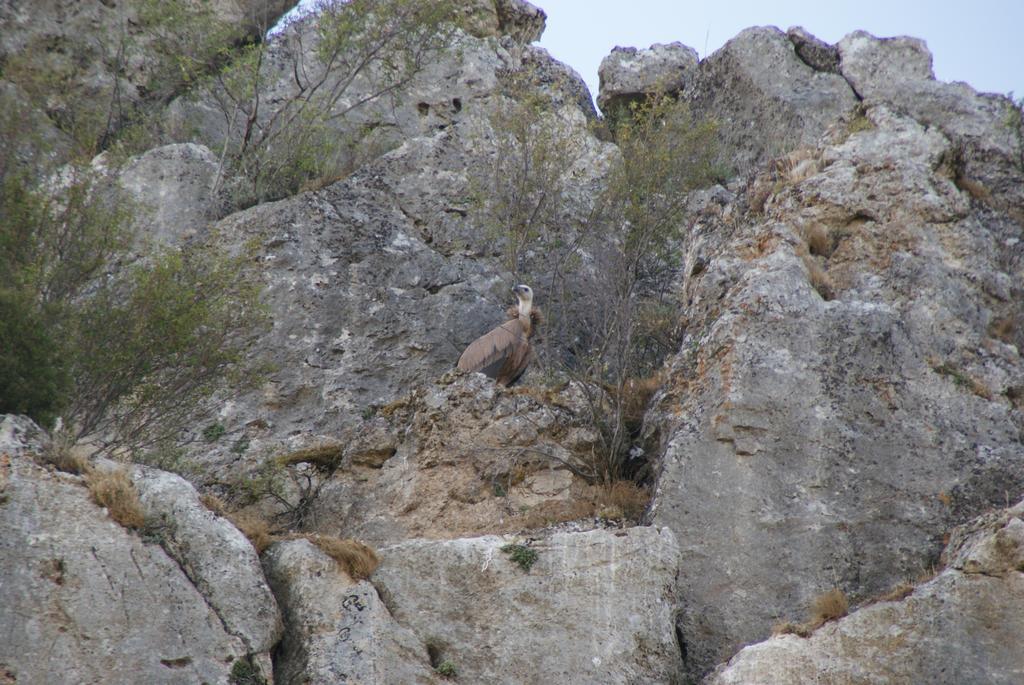 Dulce Encanto Del Valle Valle de Tabladillo エクステリア 写真