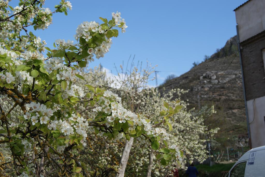 Dulce Encanto Del Valle Valle de Tabladillo エクステリア 写真